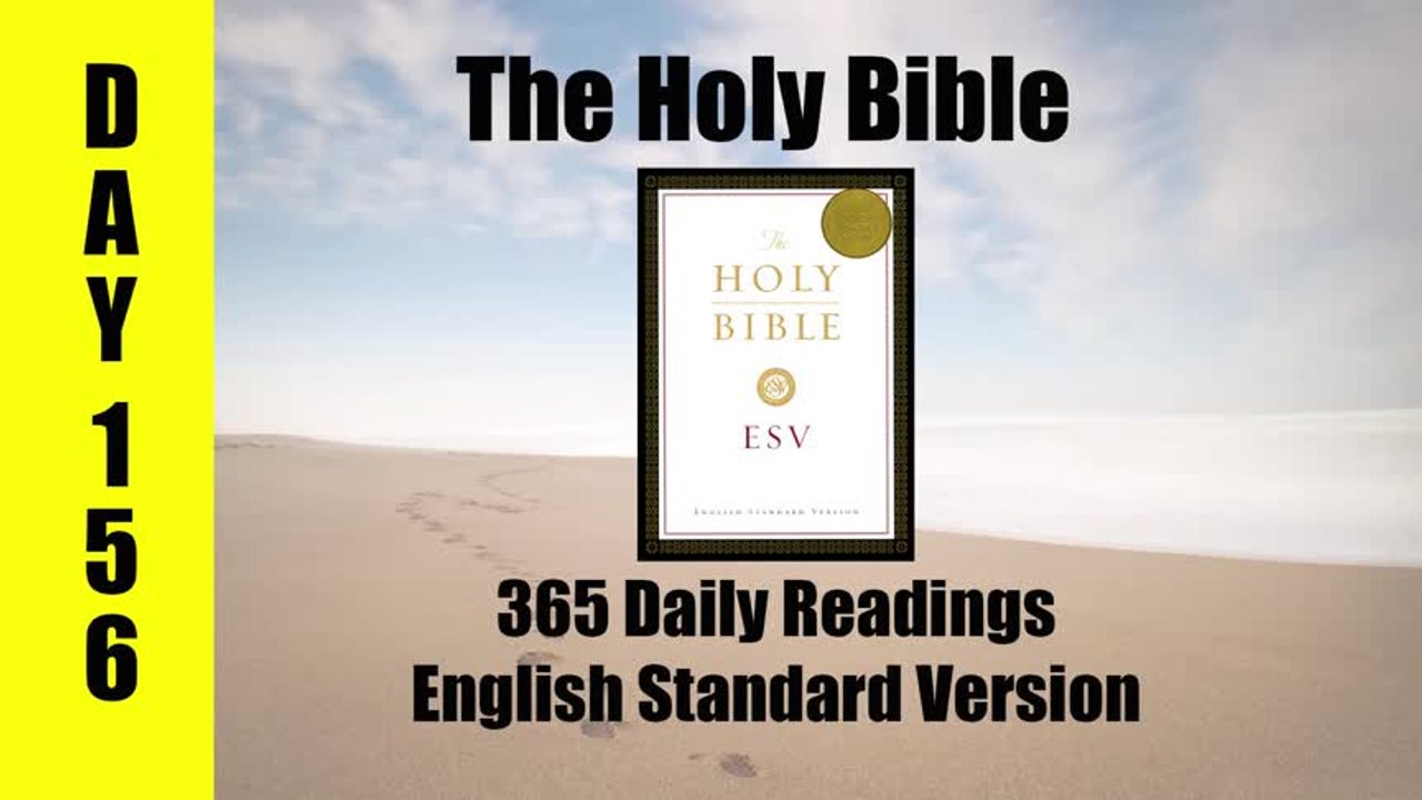 DAY 156 - Bible Reading Plan in 365 days. Job 17-20