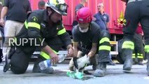 Mira al gato que hallaron con vida luego del fuerte terremoto en Italia