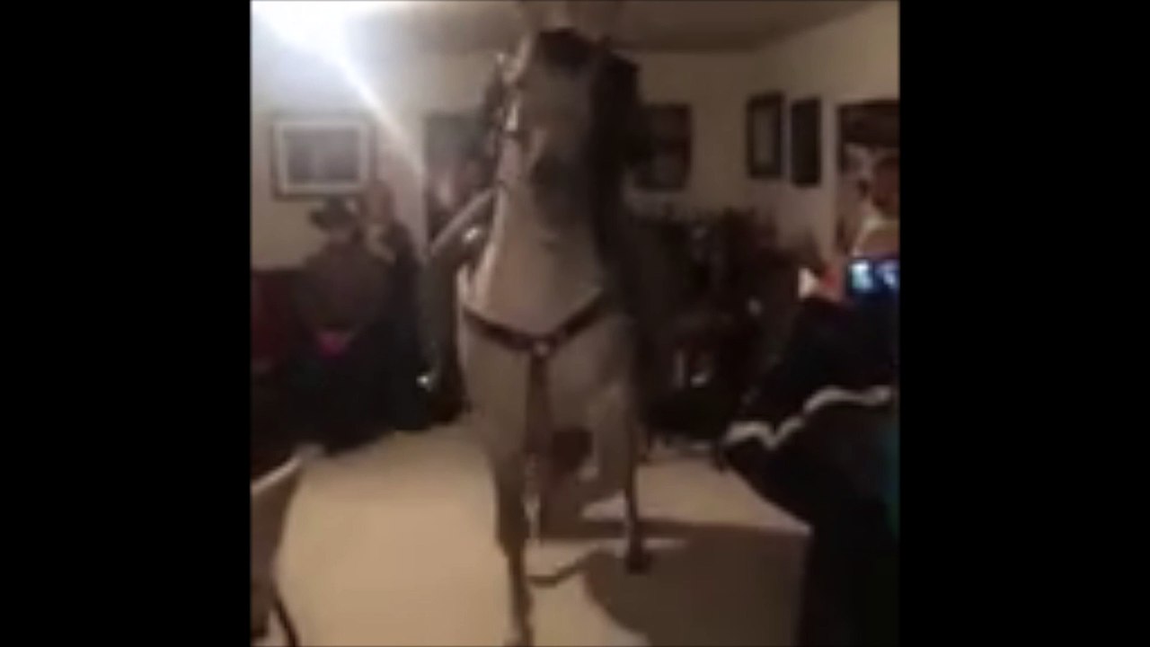 Il font la fête avec un cheval dans leur salon