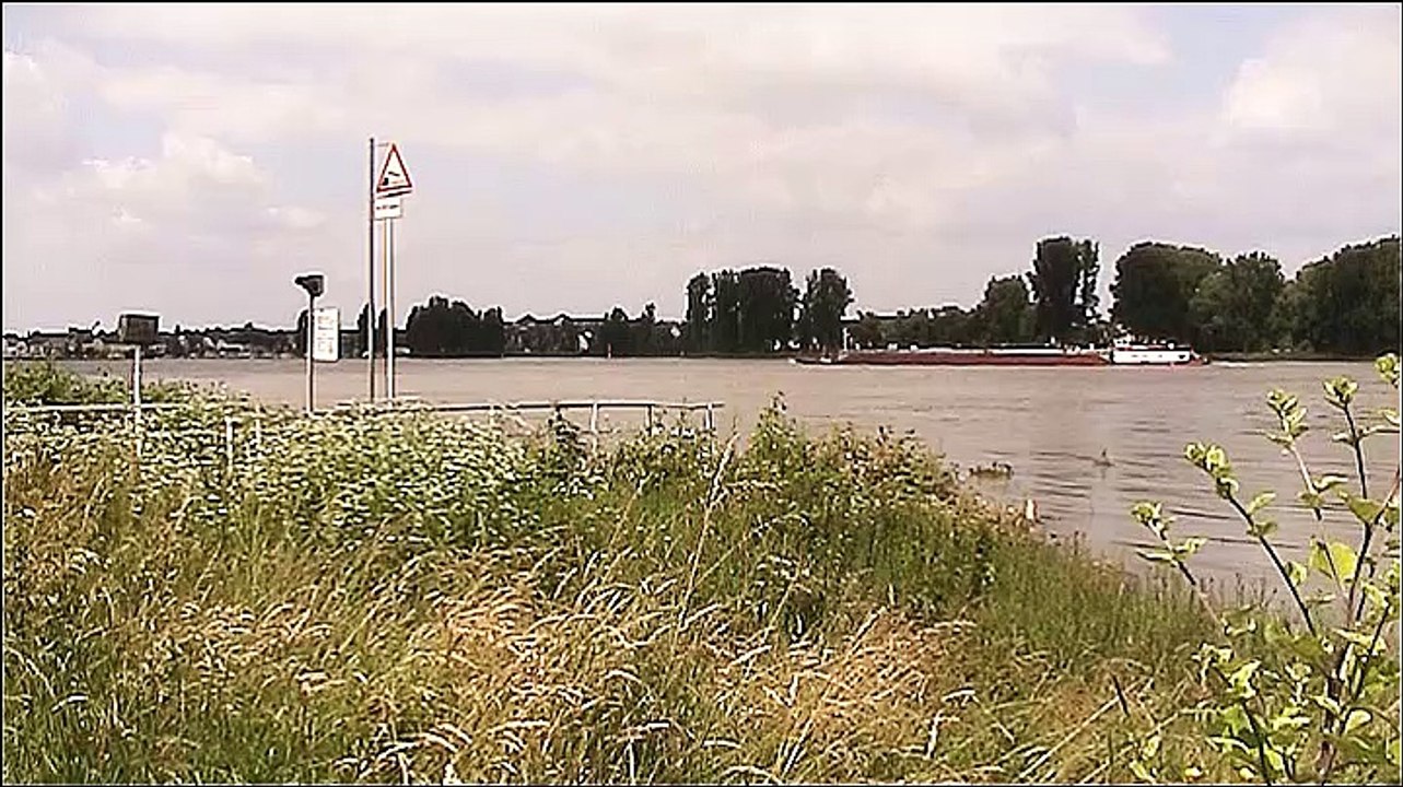Der Rhein in Köln – 1