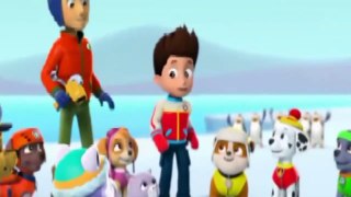 ᴴᴰ Best Kids Movies Cartoon 2016 ★★★ Pups Save A Friend - Pups' Jungle Trouble