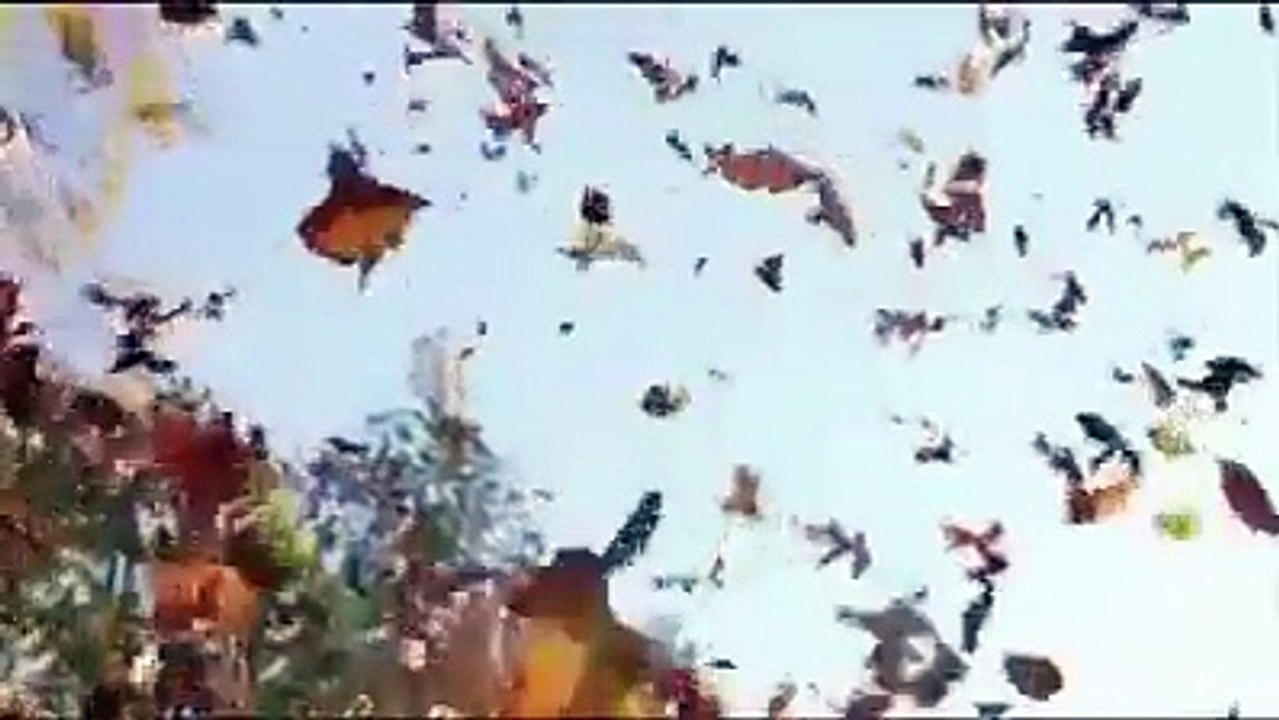 من سيأتى معى غدا