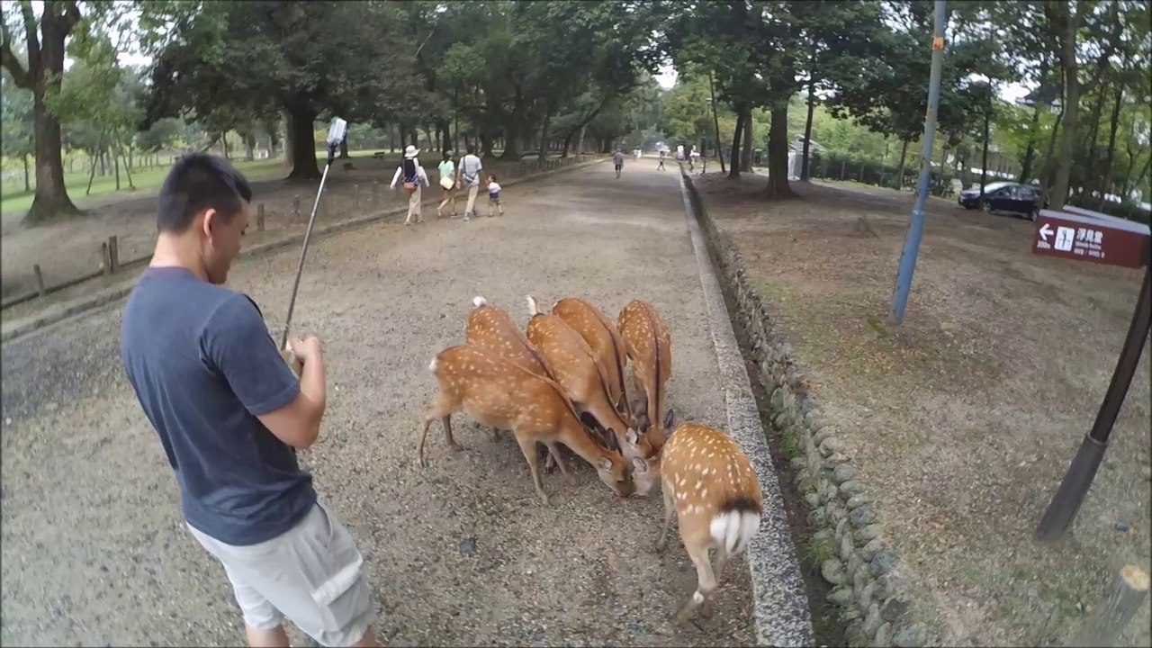 Japan 2015