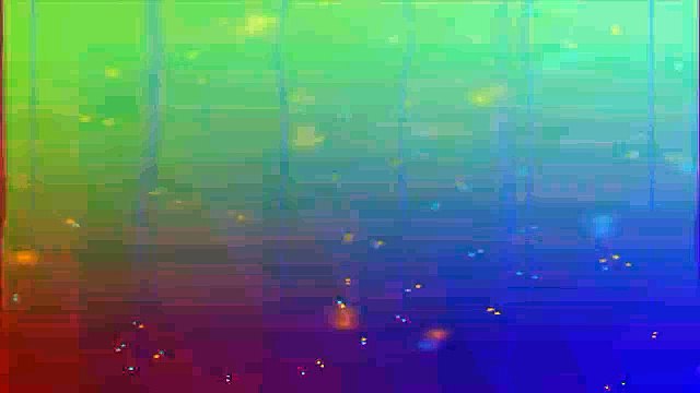 BuxWV225 Canzonetta a moll_vpr, Dietrich Buxtehude prelude, virtual organ, James Pressler, last organ work in the BuxWV catalog