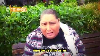 NOTAS CURIOSAS POKETONGO