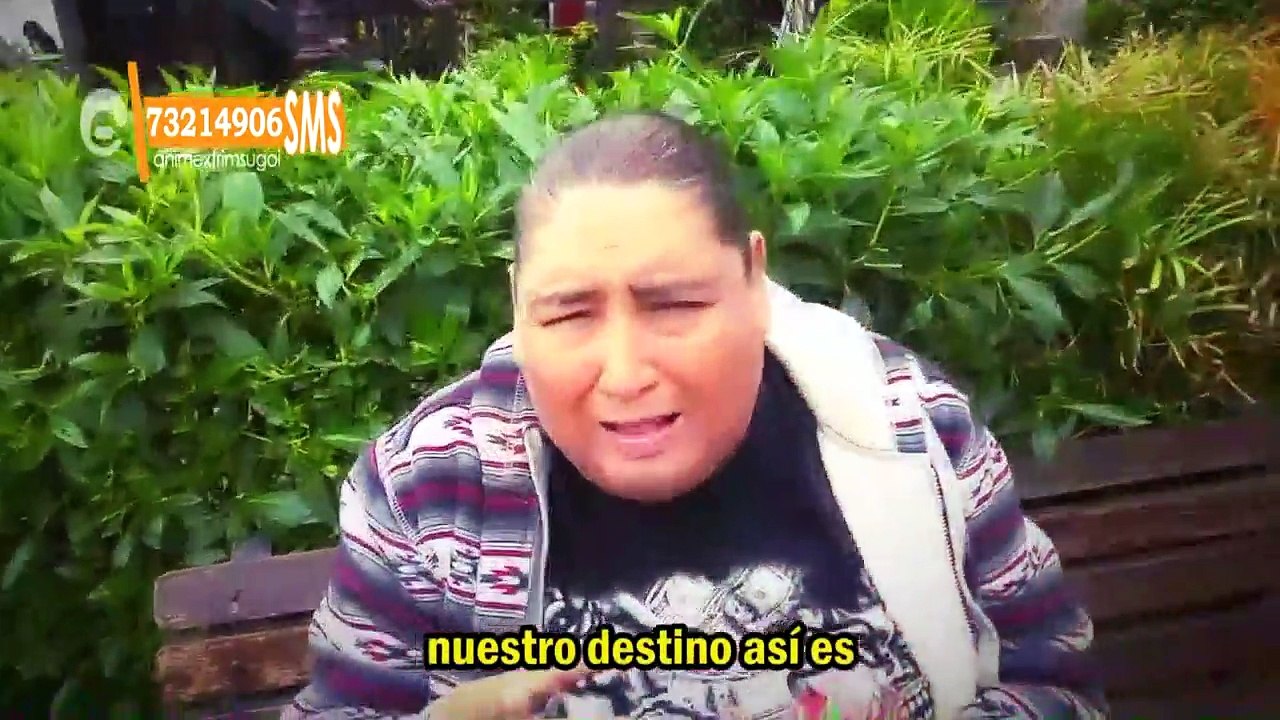 NOTAS CURIOSAS POKETONGO