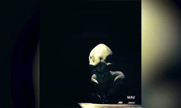 Видео с пришельцем взорвало интернет!