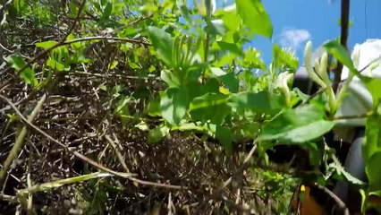 Junkyard 1956 Buick Hack! - Roadkill Ep. 53_16