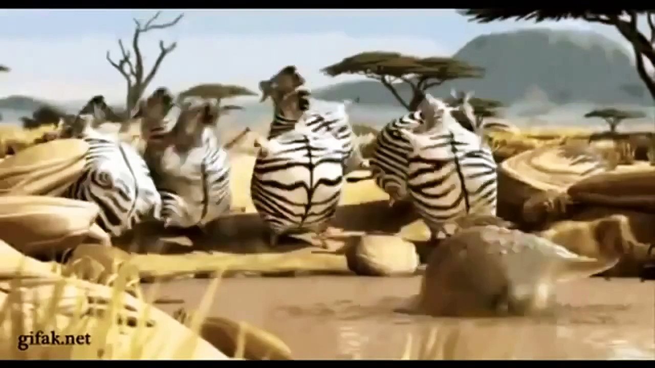 ▶ Cat Jump Fail Funny Cats Video try not to laugh‬