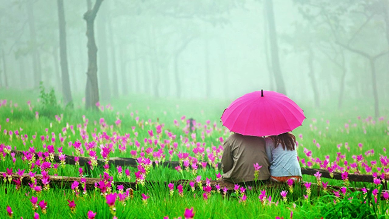 5 Superb Video and Picture Slideshow Tricks