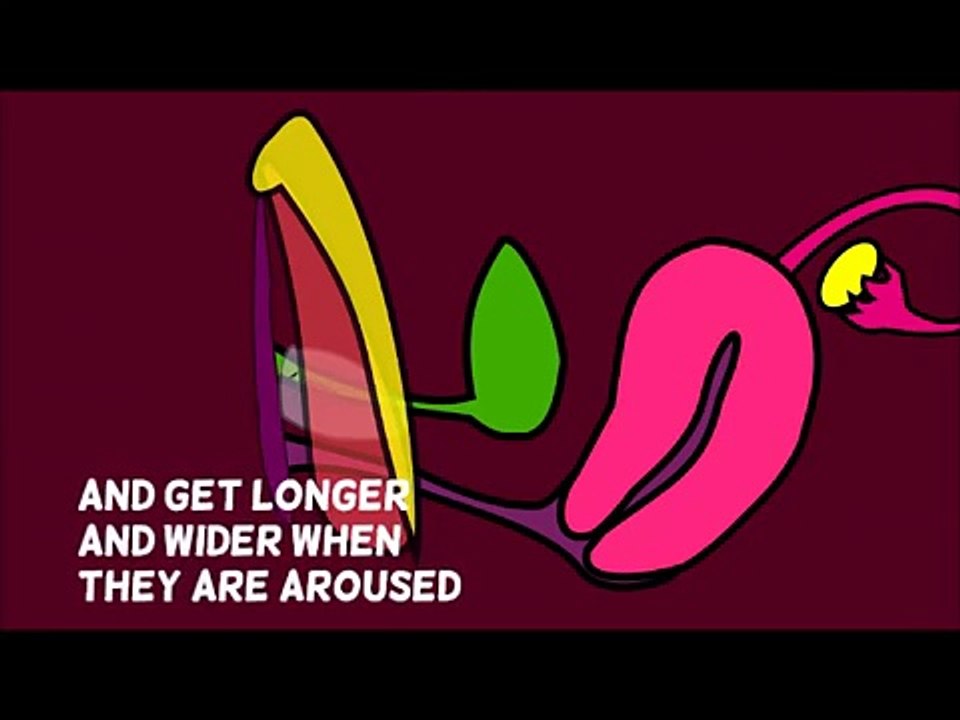 How the Vagina Works