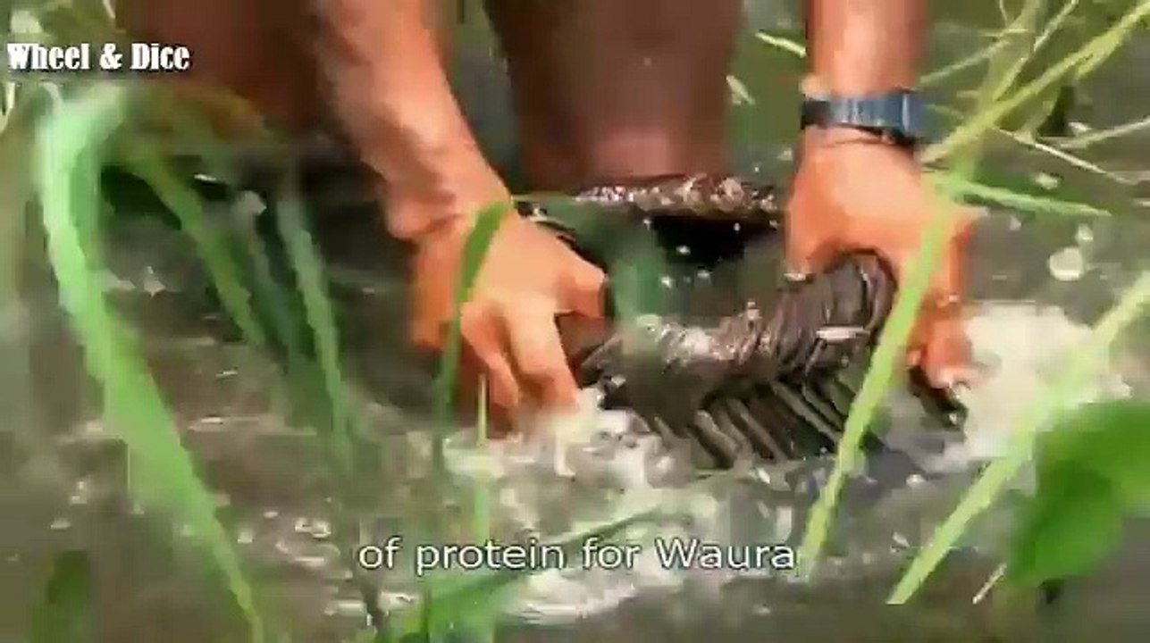 Isolated Amazon Tribe Documentary about tribes living in iso-1