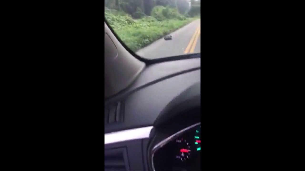 Des enfoirés ont abandonné leur animal dans un sac poubelle au milieu de la route