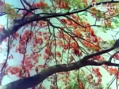 DOOR KI AWAAZ (1964) - Haathon Mein Haath Honton Pe Afsane Pyar Ke - (Mohammed .Rafi, Asha Bhosle)