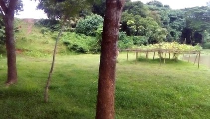 Riverside area in Gazipur,Bangladesh.