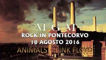 MGM - LIVE at Rock in pontecorvo 2016 - ANIMALS - Sheeps