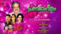 Neeyenchare Full Song -- Pranayangitham Malayalam Songs Jukebox -- Murari Music