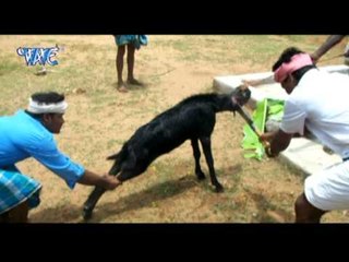 काहे बकरिया दिहला मारी - Sange Kuchho Na Jayi | Gopal Rai | Latest Bhojpuri Nirgun Song