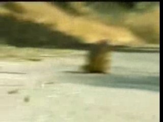 sympa les ecureils (vidéo marrante)