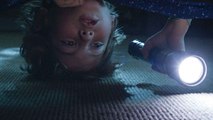 Before I Wake (Mike Flanagan, Estados Unidos, 2016)