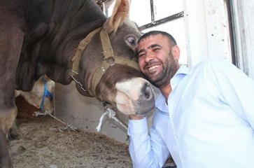 Karslı Besici, 1 Tonluk Carlos'u Alana Televizyon Hediye Edecek