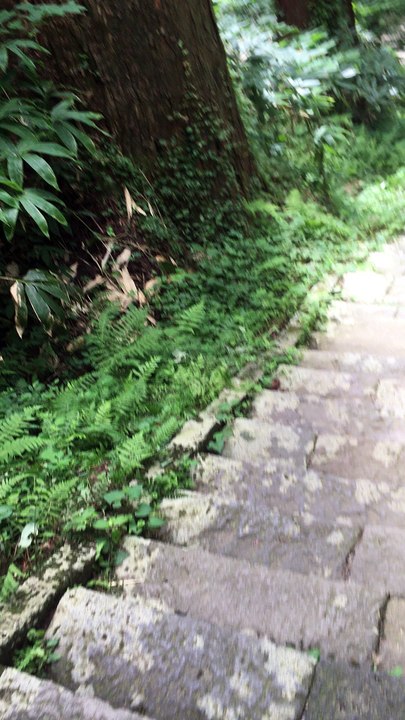 石段1440