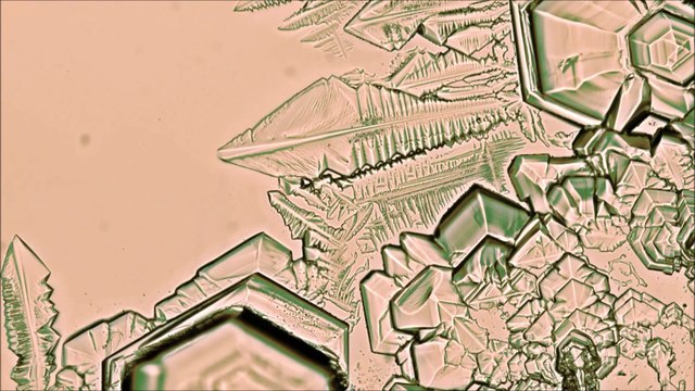 Образование Кристаллов под Микроскопом