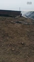 Power of the bully kutta