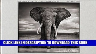 New Book Nick Brandt: On This Earth, A Shadow Falls