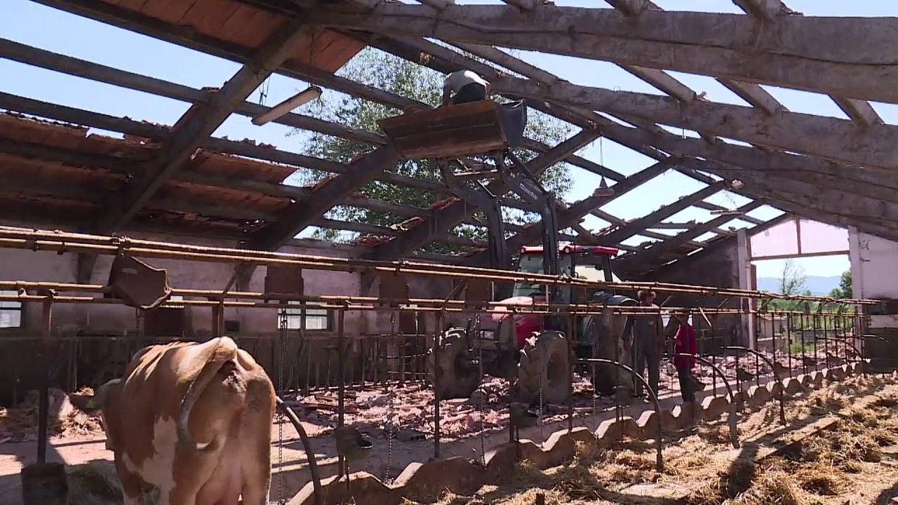 Erdbeben trifft Italiens Bauern hart