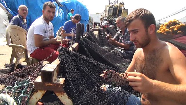 PALAMUT, ÇİNEKOP VE BARBUN TEZGAHLARI SÜSLEYECEK...