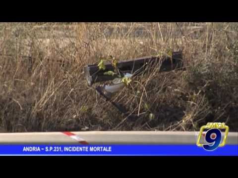 Andria | S.P. 231, incidente mortale