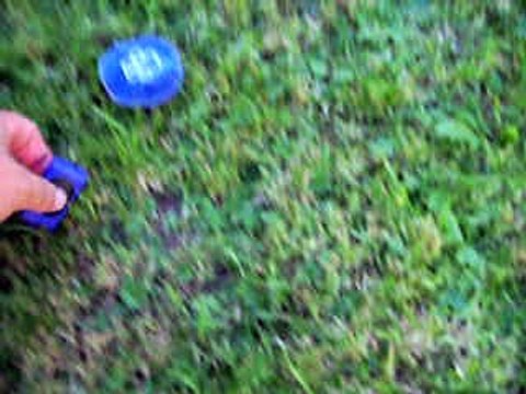 les femelles à 1 mois