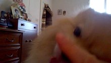 Il mio Jerry!