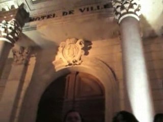 Les mille colombes s'installent en Avignon