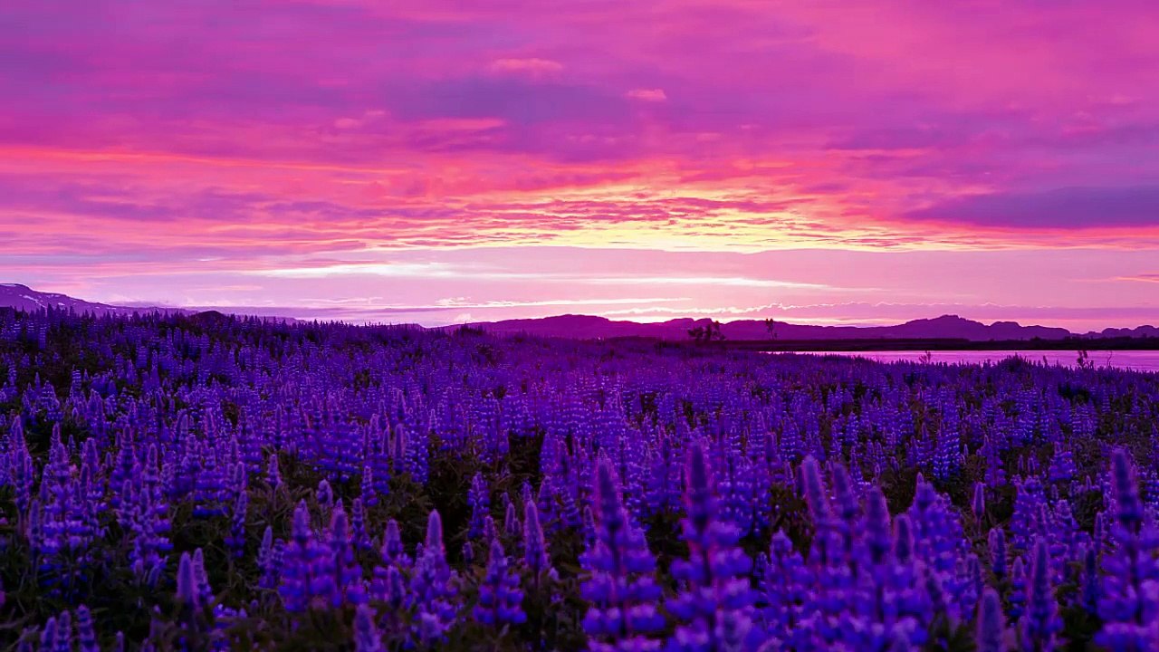 Midnight Sun | Iceland