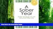 Big Deals  A Sober Year: Daily Musings on an Alcohol-Free Life  Best Seller Books Most Wanted