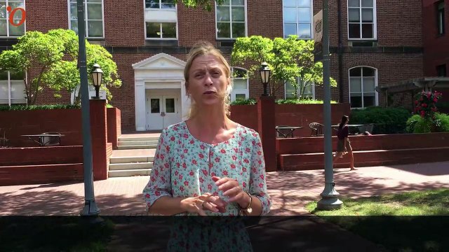 Social road trip aux Etats-Unis : le contrat de travail n’existe (presque) pas