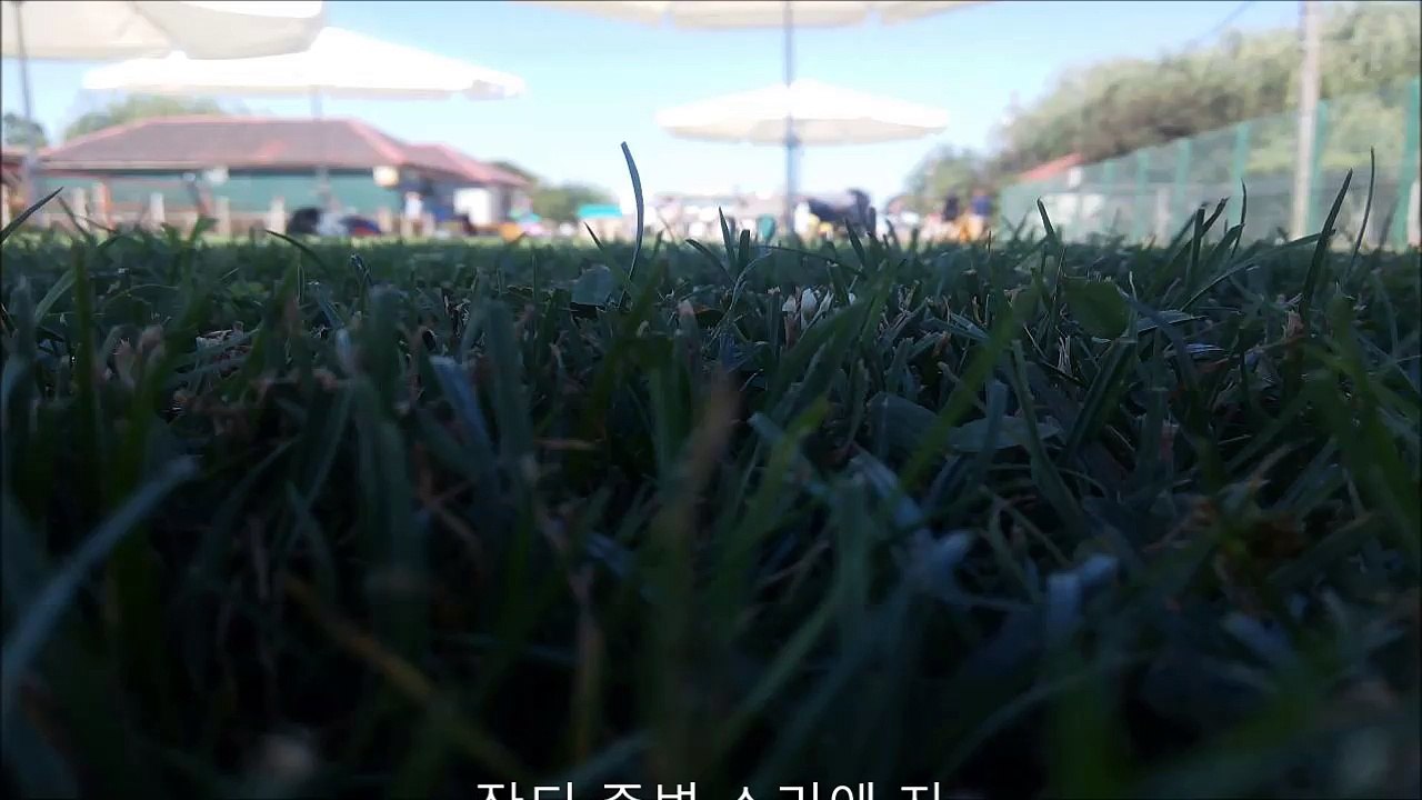 잔디 주변 소리에 자