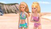 Barbie Deutsch Ein Tag am Strand Life in the Dreamhouse folge