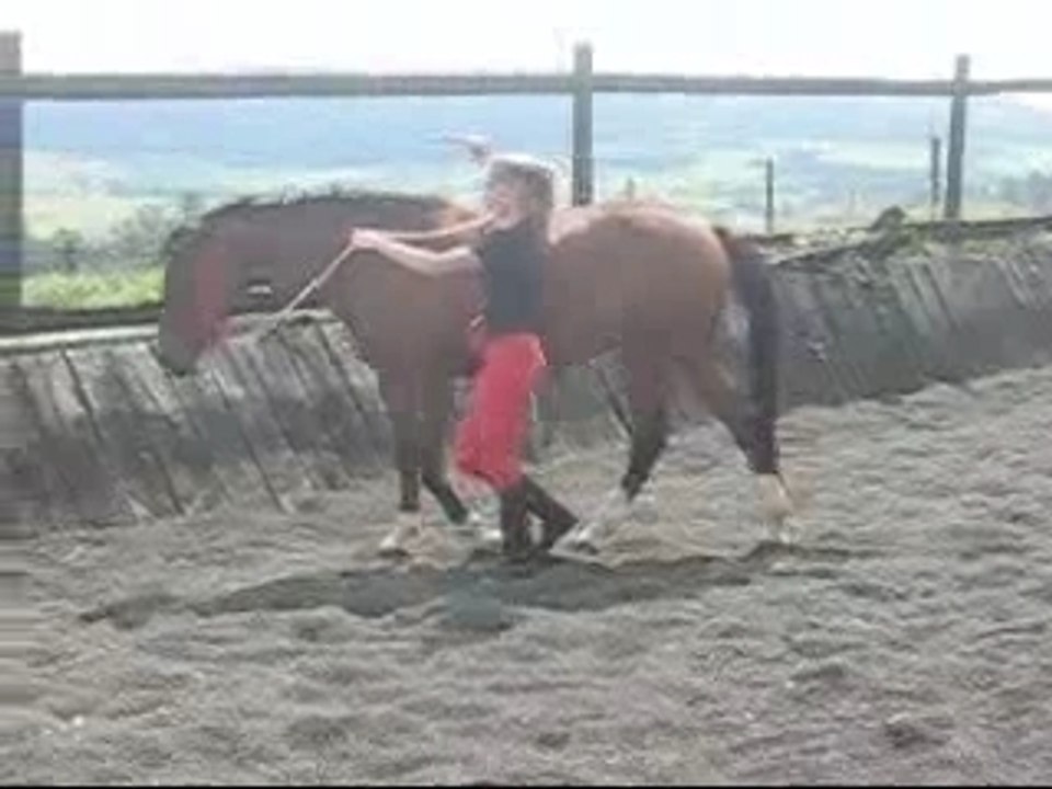 Montage2