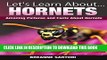 [New] Hornets: Amazing Pictures and Facts About Hornets (Let s Learn About) Exclusive Full Ebook