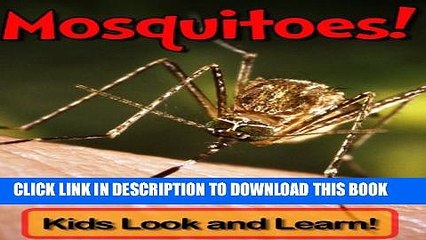 [New] Mosquitoes! Learn About Mosquitoes and Enjoy Colorful Pictures - Look and Learn! (50+ Photos