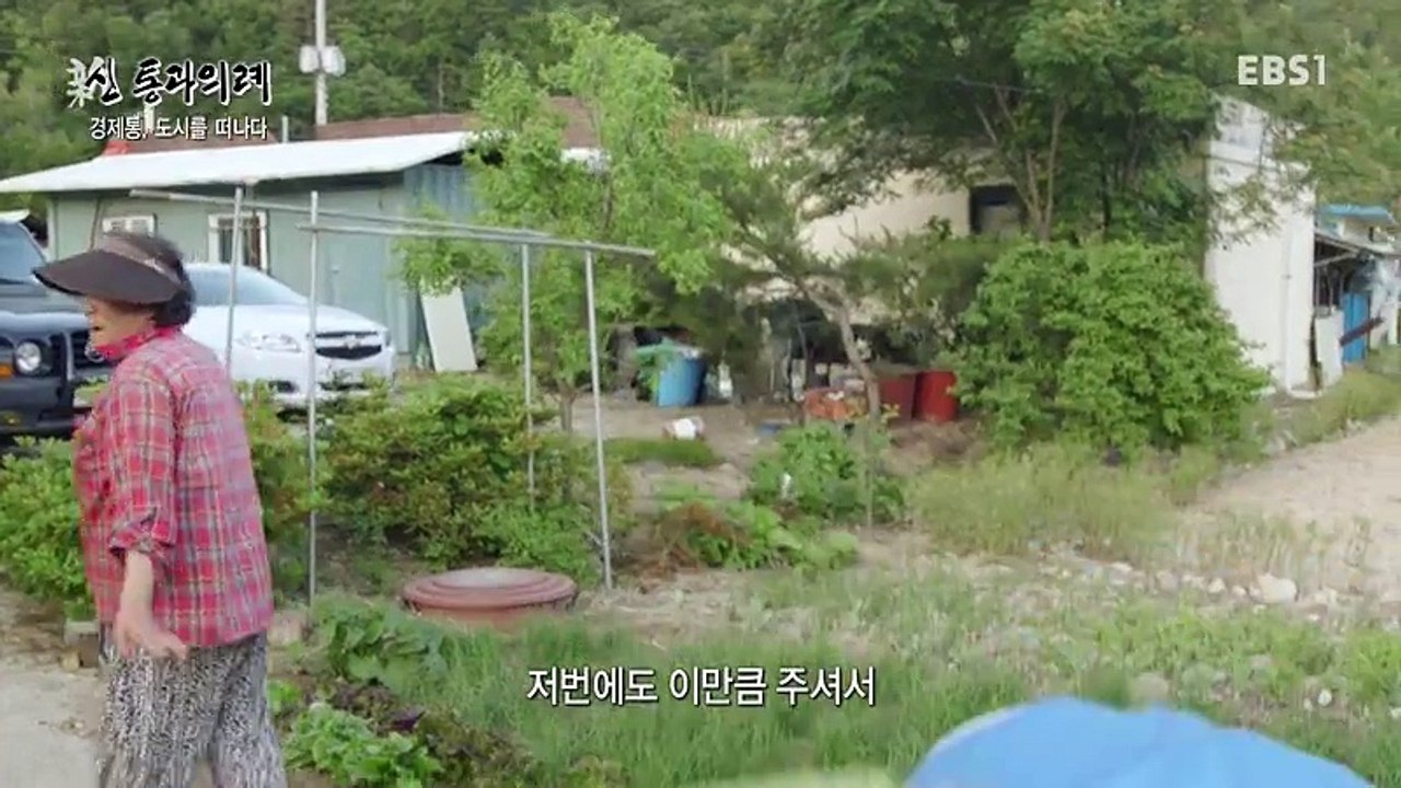 E 프로젝트