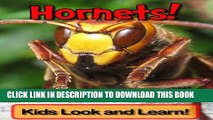 [New] Hornets! Learn About Hornets and Enjoy Colorful Pictures - Look and Learn! (50  Photos of