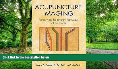 Big Deals  Acupuncture Imaging: Perceiving the Energy Pathways of the Body  Best Seller Books Most