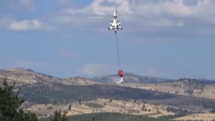 Orman Yangını: 1 Ölü