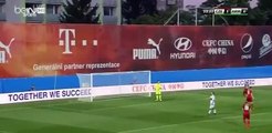2-0 Kadlec Amazing Goal - Czech Republic vs Armenia 2-0 (Friendly) 31.08.2016 HD
