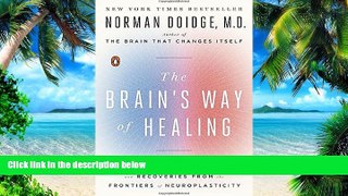 Big Deals  The Brain s Way of Healing: Remarkable Discoveries and Recoveries from the Frontiers of