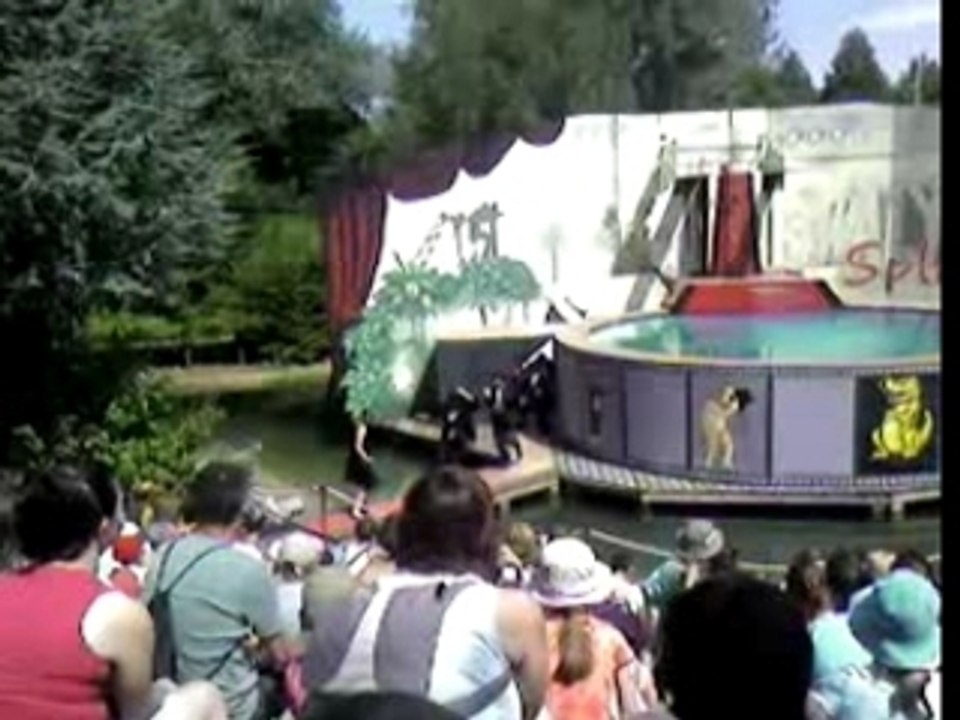 walygator plongeur fou